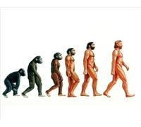 Media Storehouse Stages in Human Evolution Print: A Journey Through Time - Print 10"x8" (25x20cm) (6341595)