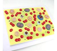 Medical Anatomical Blood Cell Model - Enlarged in 2000X Blood Cell Model - Human Anatomy Scientific Models - for Studies Indication Teaching Medical Model