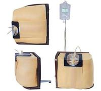 Medical Educational model, Adult Lumbar Puncture Simulator, Spine Puncture Training Model for Spinal and Epidural Anesthesia Clinical Training Model, for Doctors Nurses Students Practice.