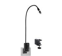 Medical Examination Lamp, 5W LED High Brightness, Wall-Mounted, Table Clip for Surgery, Dental, Gynaecology, Pet, Tattoo
