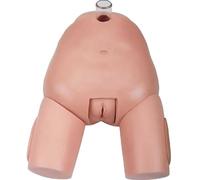 Medical Gift, Bladder Training Model, Female Genital Anatomy Model Replaceable Mannequin, Urology Teaching Tool, Learning Display and Collectibles.