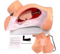 Medical Gift, Female Birth Midwifery Training Simulator, Childbirth Simulator Model, Manikin Childbirth Demonstration, for Midwife and Training Education and Birth Learning