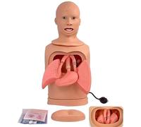 Medical Gift, Intubation Gastric Tube Model, Advanced Nasogastric Tube and Trachea Care Model, Intubation Manikin Teaching Model, for Nurses and Medical Students.