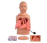 Medical Gift, Intubation Gastric Tube Model, Mannequin for Training Advanced Nasogastric Tube and Trachea Care Model for Nurses and Medical Students