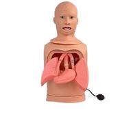 Medical Gift, Intubation Gastric Tube Model, Multifunctional Training Manikin, Advanced Nasogastric Tube and Trachea Care Model, Airway Management Teaching Aid Kit, for Nurses and Medical Education