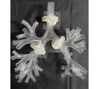 Medical Gift, Resin Bronchoscope Bronchial Tree Anatomy Model, Bronchoscopy Training Model, Fiber Bronchial Set, for Doctor Teaching,School Nursing Learning. (Level 4 transparent)