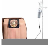 Medical Gift, Spinal and Epidural Anesthesia Clinical Training Model, Spine Puncture Training Model, Adult Lumbar Puncture Simulator, for Teaching Skills Training