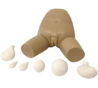 Medical Gift, Uterine Fundus Examination and Evaluation Model with 5 Interchangeable Uterus, Gynecological Teaching Tool for Science Classroom & Training Demonstrations.