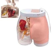 Medical Injection Training Simulator, Transparent Buttock Model for Easy Observation, Practice Muscle Injection Techniques