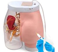 Medical Injection Training Simulator Transparent Buttock Model for Student Nurse Practice