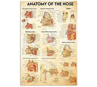 Medical Knowledge Metal Signs Vintage Office Decor Anatomy Of The Nose Tin Poster Home Hospital Club Wall Decoration Plaque 8x12 Inch