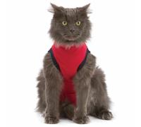 Medical Pet Shirt For Cats Great Alternative to Collar Stops Biting & Scratching