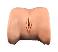 Medical Science Human Simulation Urethral Catheterization Training Model Nursing Operation Demonstration Practice Teaching Training Mould for Practice Teaching Training