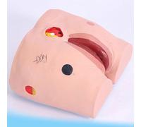 Medical Teaching Human Simulator for Nursing Training, Bedsore Care Practice Model, Suitable for Clinical Education and Skill Development