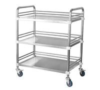 Medical Trolley Cart, Stainless Steel Dental Lab Serving Trolley on Wheels, Portable 2 Layer Equipment for Hospitals, 80x48x86cm
