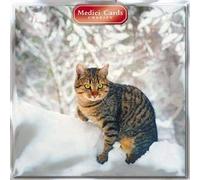 Medici Cards Pack of 8 - Charity Christmas Cards (MED0746) - Cute Cat On Snowy Wall - Sold in Aid of Oxfam, The Donkey Sanctuary, Marie Curie, Parkinsons, The Alzheimer's Society and Diabetes UK