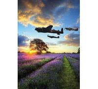 Medici Photographic 'Happy Birthday' Greeting Card - English Countryside Lavender Fields & Bomber Aeroplane - From The Great British Card Company
