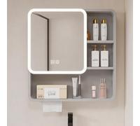 Medicine Cabinet Mirror with Led Light Wall Mounted Bathroom Storage Cabinet With defogging function Farmhouse Bathroom Mirror(Gray,60 * 65cm/24 * 26in)