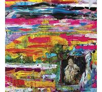 Medicine Singers - Medicine Singers [VINYL]