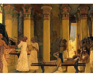 Medicine - The Necessary Art