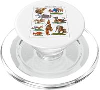 Medieval Bestiary Funny Illuminated Manuscript Art PopSockets PopGrip for MagSafe