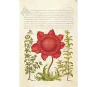 Medieval Manuscript Journal (Dot-Grid Edition) - A Historic Art Notebook With Dot-Grid Pages for Journaling, Sketching, and Creative Planning