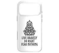 Medieval Norse Mythology - Motivational Viking - Odin Case for iPhone 17 Pro Max