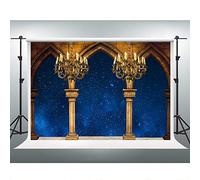 Medieval Palace Pillar Backdrop 7x5ft Beauty and The Beast Theme Party Photography Background Kids Birthday Party Decorations ZYVV0437