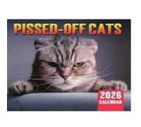 Medieval Pics 2026 Calendar Prank Medieval Wall Calendar for Decor (Angry Cat) (B)