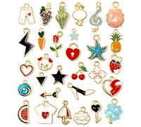 MEDIHOOL Assorted Gold Plated Enamel Charms Mixed Fruit Fashion Clothes Key Rose Charm Pendant for DIY Necklace Bracelet Jewelry Making and Crafting, 30PCS