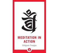 Meditation in Action