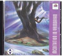 Meditation in Vrindavan - Ronu Majumdar