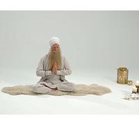 Meditation to Keep up with the Times