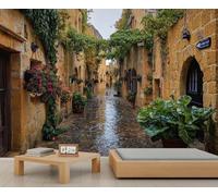Mediterranean Ancient Alley Wall Mural Post - Rain Alleyway Mural Rainy Cobblestone Street with Floral Vines Wallpaper for Living Room Bedroom Decor 390 x 260 cm