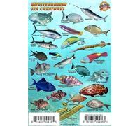 Mediterranean Sea Creatures & Sharks, Fish ID Card Waterproof 4" x 6"