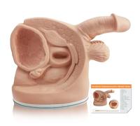 MediTrainer Male Catheterization Model Internal and External Genital Anatomy Model for Clinical Teaching and Medical Education Training Practice, 1 Piece