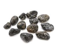 Medium African Tumble Stones - Guinea Fowl Medium