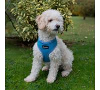 AllPetSolutions Dog Harness - Cool Pet Vest with Back D-Ring for Dog Lead Clips - Mesh Fabric Puppy Harness with Soft Padding - Training Stuff and Supplies for Small, Medium, Large Dogs - M, Blue