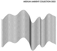 Various Artists – Medium Ambient Collection 2022 White – Vinyl LP – US Import