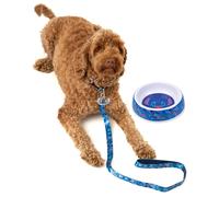 (Medium) Disney Lilo & Stitch Bowl , Collar , Charm and Lead Gift Set (Unisex Blue)