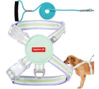 Medium Dog Harness Puppy Set - Adjustable Soft Vest with Rope for Small Pets | Lightweight, Comfortable and Secure Fit for Walking, Ideal for Puppies and Medium Dogs - Perfect for Dogs