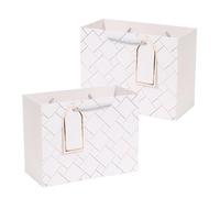 Medium Gift Bags, 2 Pack 9'' Paper Bag with Gift Tag White Gift Bag for Presents Shopping Business Mother’s Day Birthday Wedding Baby Shower(White1, Medium)