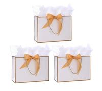 Medium Gift Bags wit Tissue Paper and Gift Cards for Present,3Pcs Paper Bags with Handles for Girls Womens Men Birthday Party Christmas Wedding Thank You ,Any Occation (White)