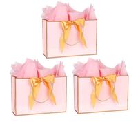 Medium Gift Bags wit Tissue Paper for Present,3Pcs Paper Bags with Handles for Girls Womens Men Birthday Party Christmas Wedding Thank You,Any Occation (Pink)
