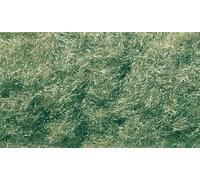 Medium Green Flocking (US IMPORT) ACC NEW