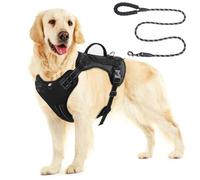 Medium Large Dog Reflective Harness with Handle, No-Pull Design for Easy Walks Hikes, Adjustable Comfort Fit, Includes Nylon Leash, Available in Black and Orange (Black, Medium)