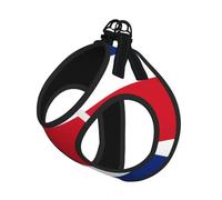 Medium Pet Leash Vest & Dog Flag of Costa Rica Print Harness Set â€“ Soft, Light, Breathable Mesh for Small Dogs & Cats