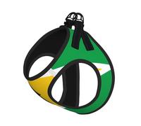 Medium Pet Leash Vest & Dog Flag of Guyana Print Harness Set â€“ Soft, Light, Breathable Mesh for Small Dogs & Cats