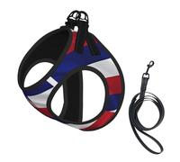 Medium Pet Leash Vest & Dog Flag of Hawaii American Print Harness Set – Soft, Light, Breathable Mesh for Small Dogs & Cats