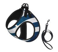 Medium Pet Leash Vest & Dog Greek Flag Print Harness Set â€“ Soft, Light, Breathable Mesh for Small Dogs & Cats